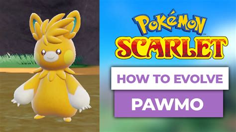 How to evolve Pawmo into Pawmot in Pokémon。